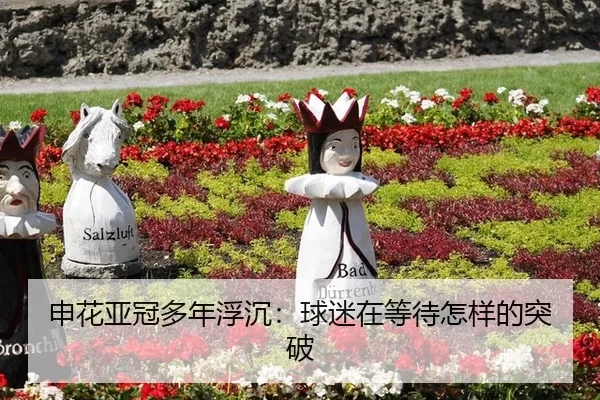 申花亚冠多年浮沉：球迷在等待怎样的突破